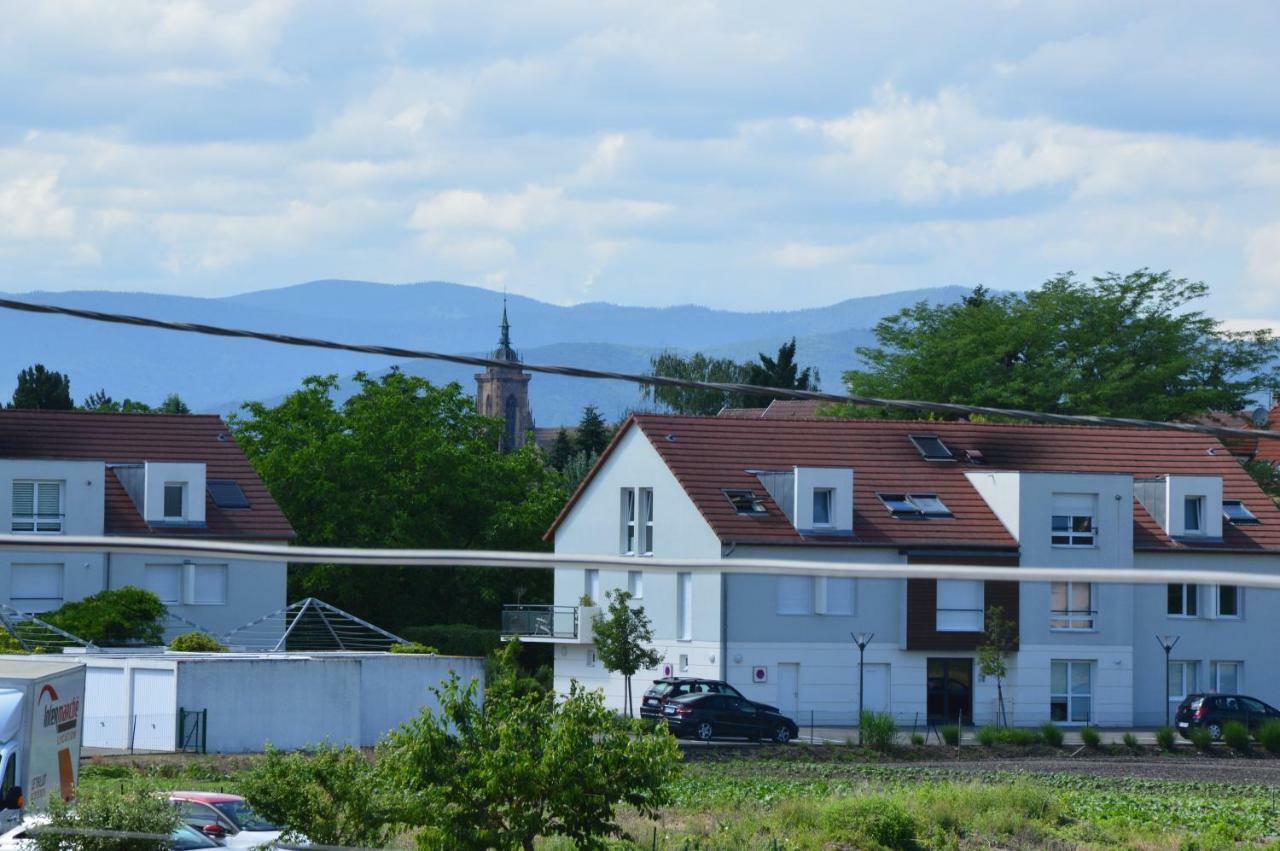 Gite Du Neuland コルマール エクステリア 写真